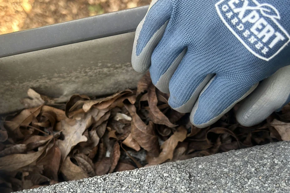 Gutter Cleaning Slatington